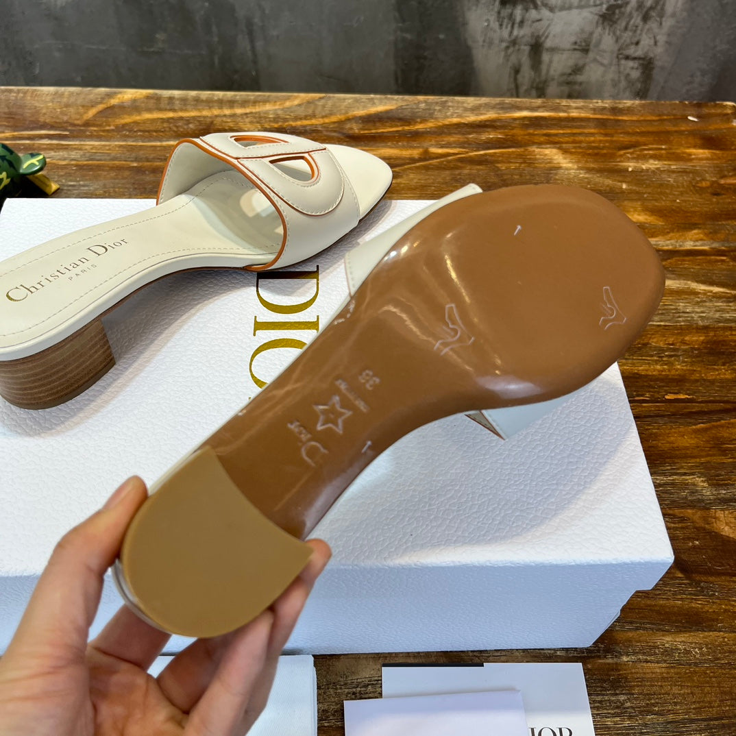 Luxury Shoes - DIR - 494