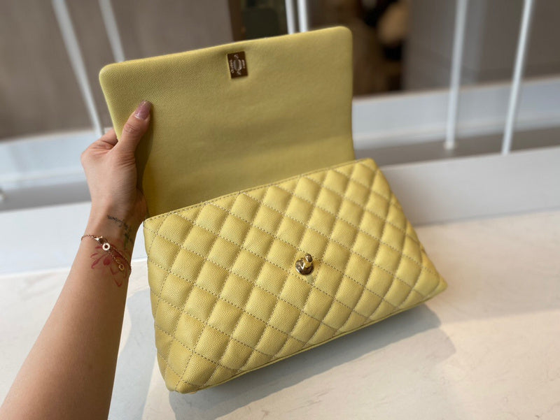Ozarra - CHL Bags - 161