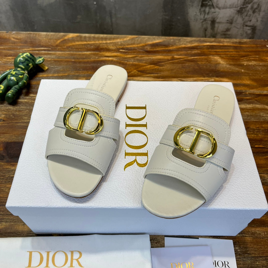Luxury Shoes - DIR - 489