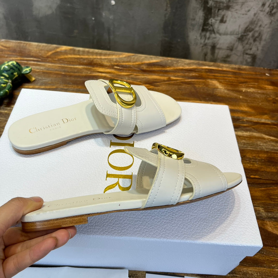 Luxury Shoes - DIR - 489