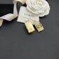 BL - High Quality Earring CHL 026